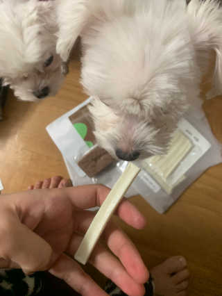 새초미님이 올린 리뷰 사진 1