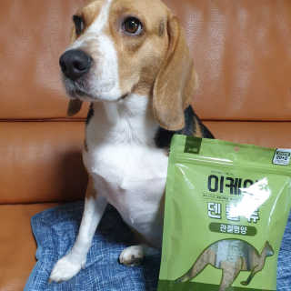beaglelove님이 올린 리뷰 사진 1