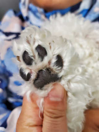 맨날배고파님이 올린 리뷰 사진 2