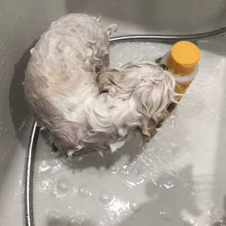 콩순이엄마님이 올린 리뷰 사진 3