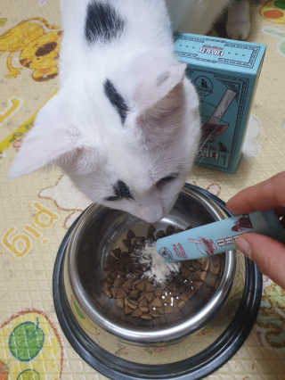 귀욤뽀짝센스쟁이님이 올린 리뷰 사진 1