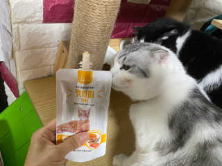 cobemom님이 올린 리뷰 사진 1