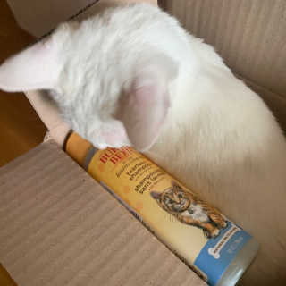 momoa님이 올린 리뷰 사진 4