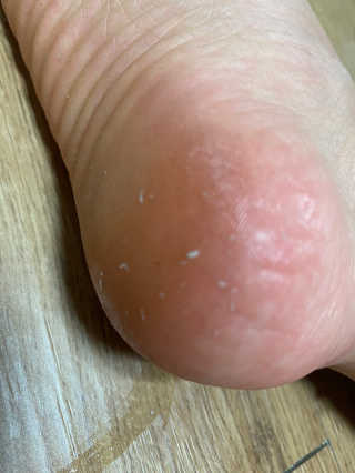 지미추님이 올린 리뷰 사진 3