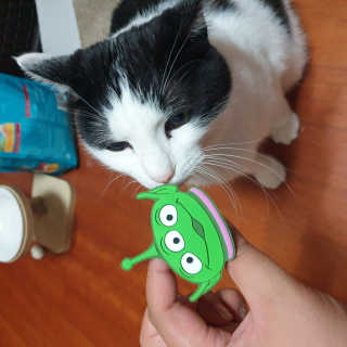 한라봉님이 올린 리뷰 사진 1