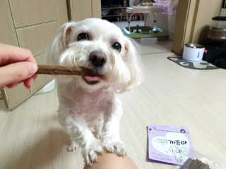 My Pet Care 천연단백질 치아건강에 개좋아 — 5점을 준 리뷰어가 2020년 12월 올린 사용 사진
