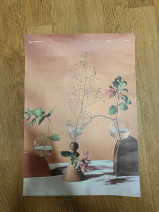 라운디드 코리아 [라운디드] 원더플라워 포스터 6종 중 2종 랜덤발송 — 3점을 준 리뷰어가 2020년 10월 올린 사용 사진