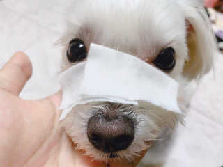 설기넹님이 올린 리뷰 사진 3