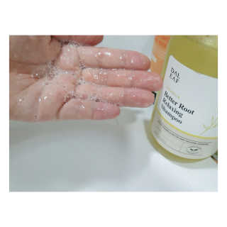 달리프 클로렐라 베러 루트 릴렉싱 샴푸 500ml — 5점을 준 리뷰어가 2020년 8월 올린 사용 사진