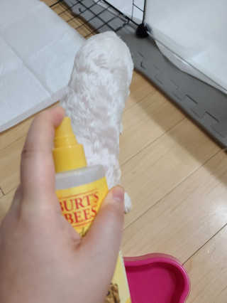 송이송이님이 올린 리뷰 사진 2