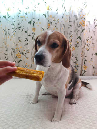 지우님이 올린 리뷰 사진 2