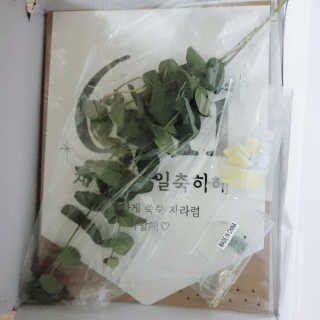 공팔녀님이 올린 리뷰 사진 2