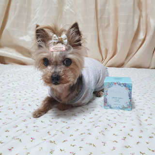 솜희님이 올린 리뷰 사진 3