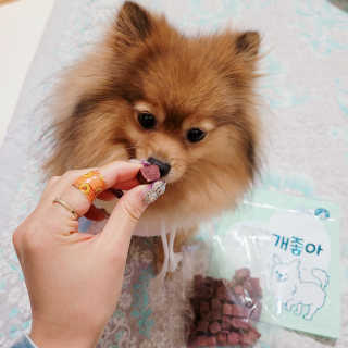 My Pet Care 천연단백질 눈건강에 개좋아 — 5점을 준 리뷰어가 2020년 12월 올린 사용 사진