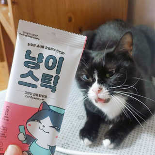 스텔라님이 올린 리뷰 사진 2