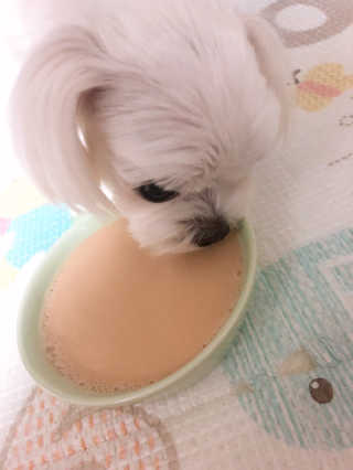 뚜덩맘님이 올린 리뷰 사진 4