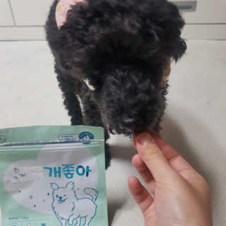 My Pet Care 천연단백질 눈건강에 개좋아 — 5점을 준 리뷰어가 2020년 11월 올린 사용 사진