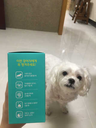 펫시랩 반려견용 액상 프리바이오틱스 아쿠아펫 — 4점을 준 리뷰어가 2020년 12월 올린 사용 사진