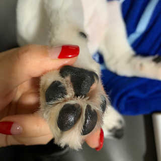 sunny님이 올린 리뷰 사진 3