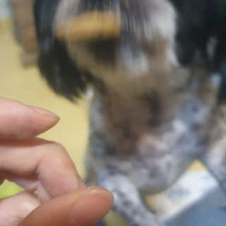 가횽님이 올린 리뷰 사진 4