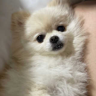 송유미님이 올린 리뷰 사진 3