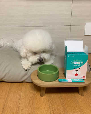 펫시랩 반려견용 액상 프리바이오틱스 아쿠아펫 — 5점을 준 리뷰어가 2020년 11월 올린 사용 사진