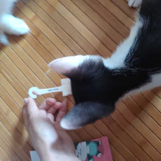 이누닷님이 올린 리뷰 사진 4