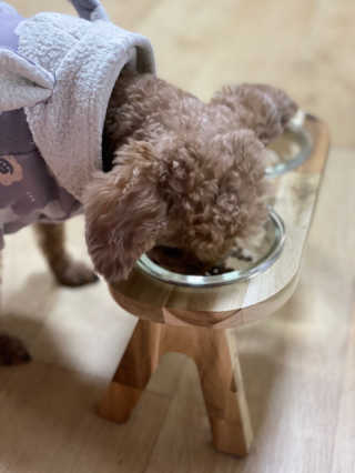 [풀무원 아미오] 자연담은식단 1kg 3종 — 5점을 준 리뷰어가 2020년 12월 올린 사용 사진