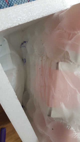pinkpig님이 올린 리뷰 사진 4