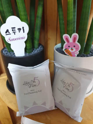 라이크아임파이브 마일드 선 클렌징 패드 리뉴얼 — 5점을 준 리뷰어가 2020년 6월 올린 사용 사진