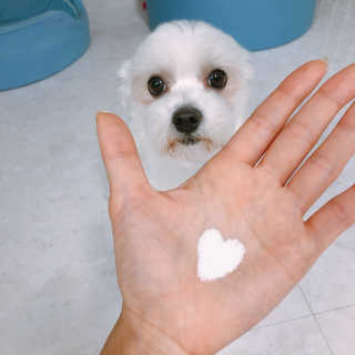 김나연님이 올린 리뷰 사진 3
