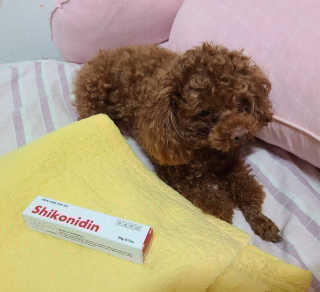 [자유펫] 시코니딘 고양이 강아지 피부 보습 연고 20g — 4.5점을 준 리뷰어가 2020년 7월 올린 사용 사진