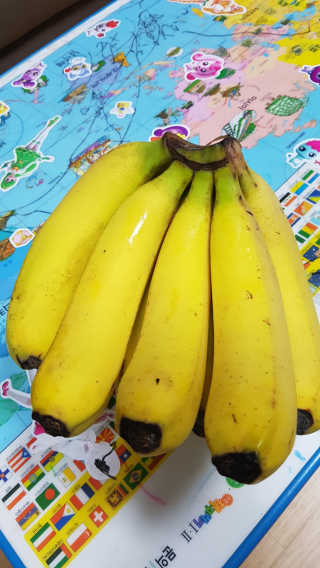 [스미후루] 감숙왕 바나나 2팩 2.6kg 이벤트 — 5점을 준 리뷰어가 2020년 9월 올린 사용 사진