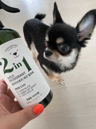 두리님이 올린 리뷰 사진 3