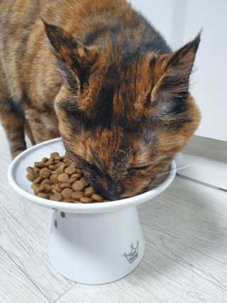 천도님이 올린 리뷰 사진 3