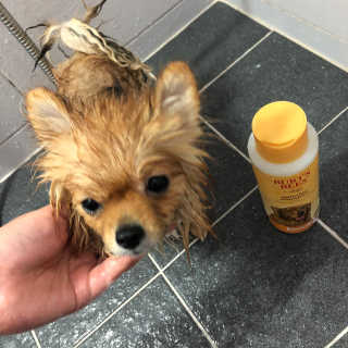 SoHeeYoo님이 올린 리뷰 사진 3
