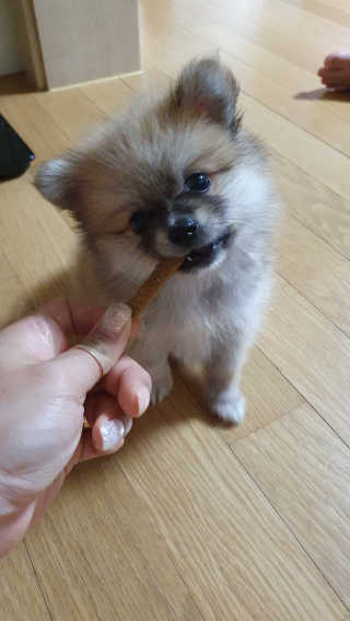 용빈맘님이 올린 리뷰 사진 4
