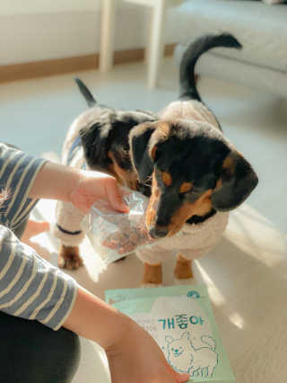My Pet Care 천연단백질 눈건강에 개좋아 — 5점을 준 리뷰어가 2020년 11월 올린 사용 사진