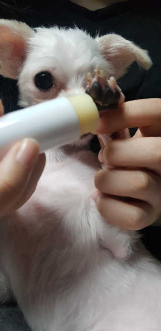 푸카카님이 올린 리뷰 사진 4