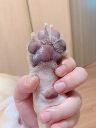 이은향님이 올린 리뷰 사진 3