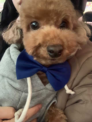 으나으나햐님이 올린 리뷰 사진 1