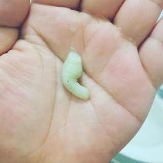 Ren님이 올린 리뷰 사진 3