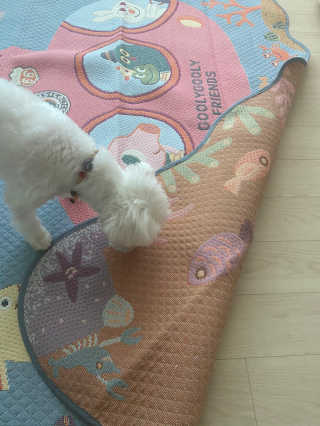 황방울이님이 올린 리뷰 사진 2