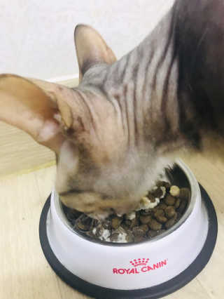 narihalmany님이 올린 리뷰 사진 2
