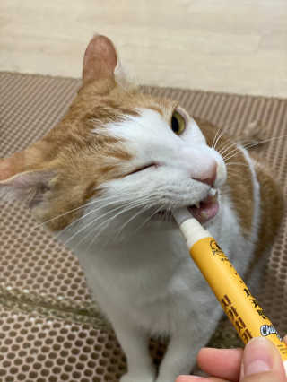 아두님이 올린 리뷰 사진 4