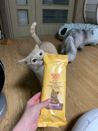 선짱님이 올린 리뷰 사진 1
