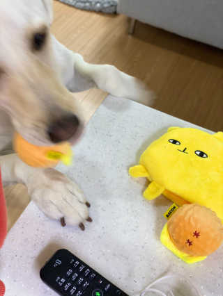 정봐기린님이 올린 리뷰 사진 2