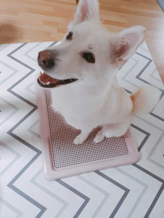 딸랑구둘🥰님이 올린 리뷰 사진 1