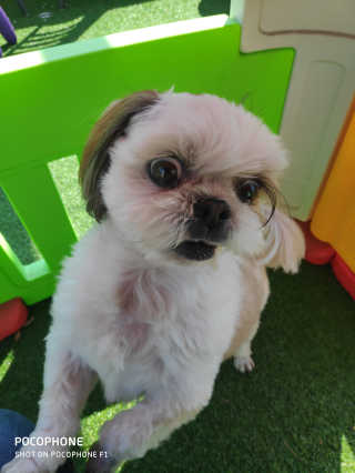 sblove님이 올린 리뷰 사진 3