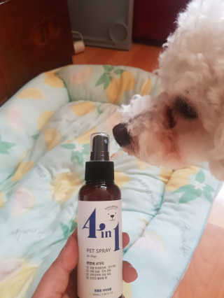 크림푸님이 올린 리뷰 사진 1